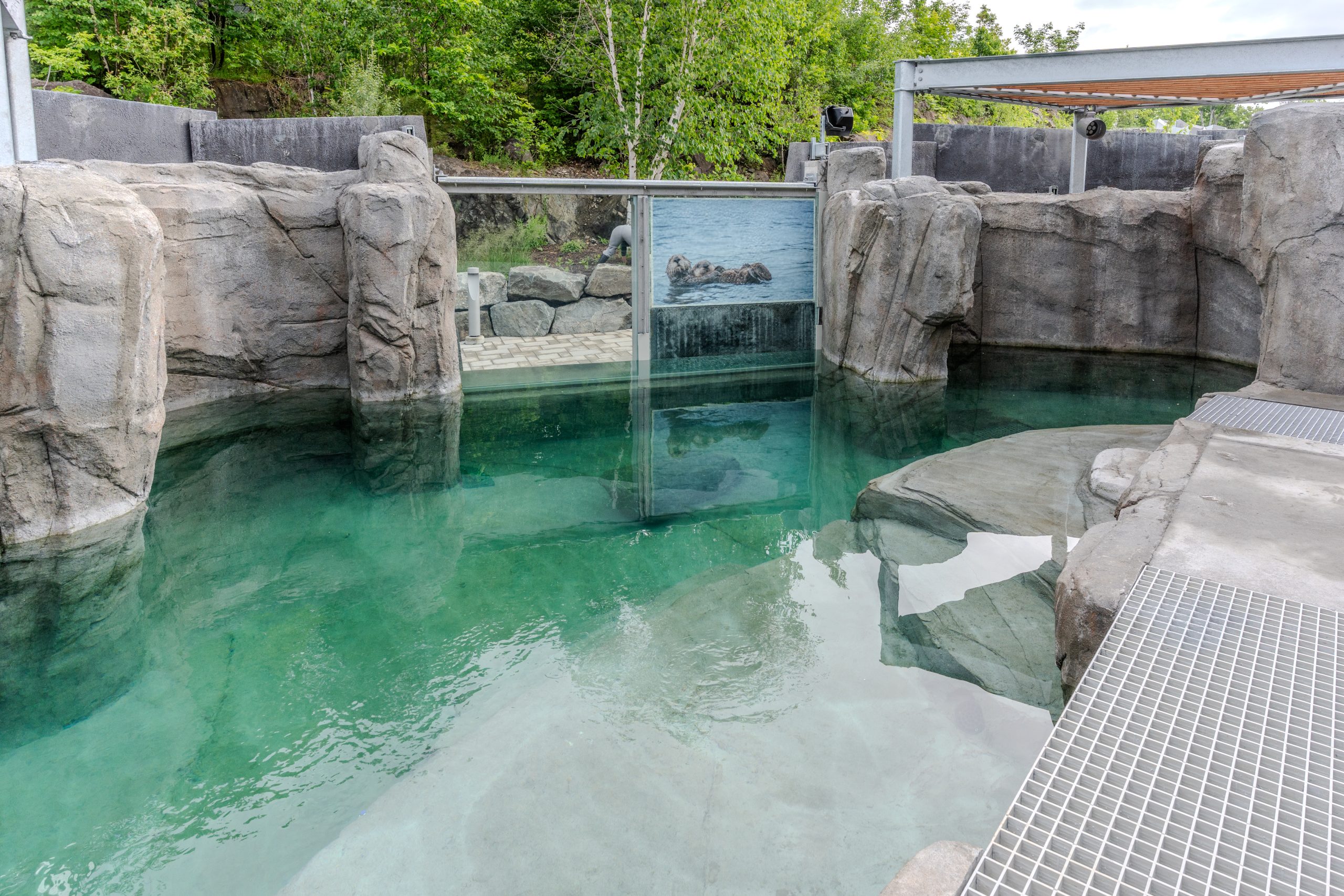 Construction et aménagement habitat louphoque | Aquarium du Québec Interprojet Construction | Entrepreneur général en génie civil et bâtiment au Québec