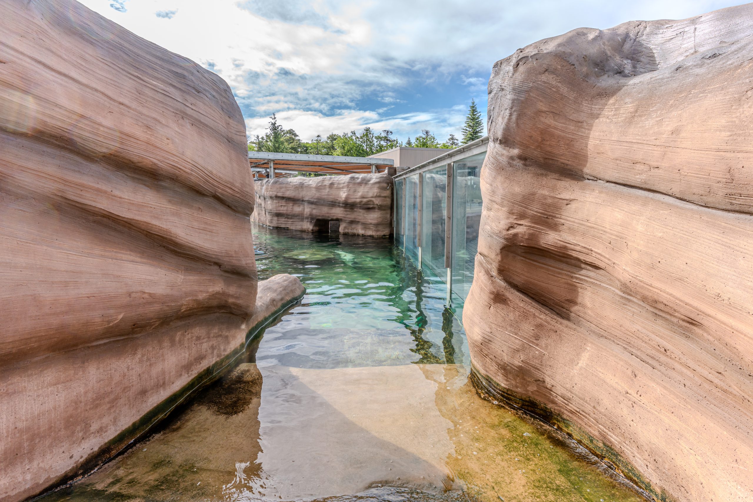Construction et aménagement habitat louphoque | Aquarium du Québec Interprojet Construction | Entrepreneur général en génie civil et bâtiment au Québec
