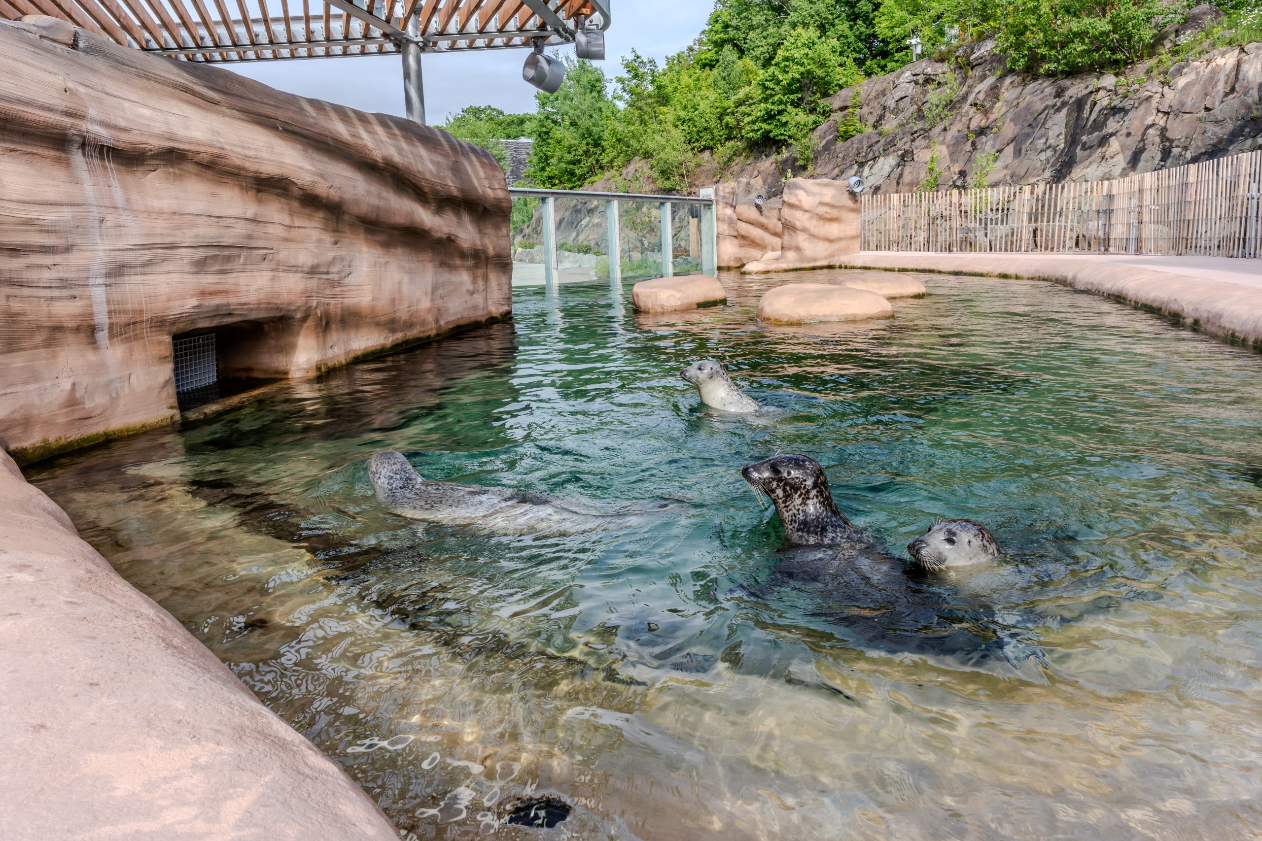 Construction et aménagement habitat louphoque | Aquarium du Québec Interprojet Construction | Entrepreneur général en génie civil et bâtiment au Québec