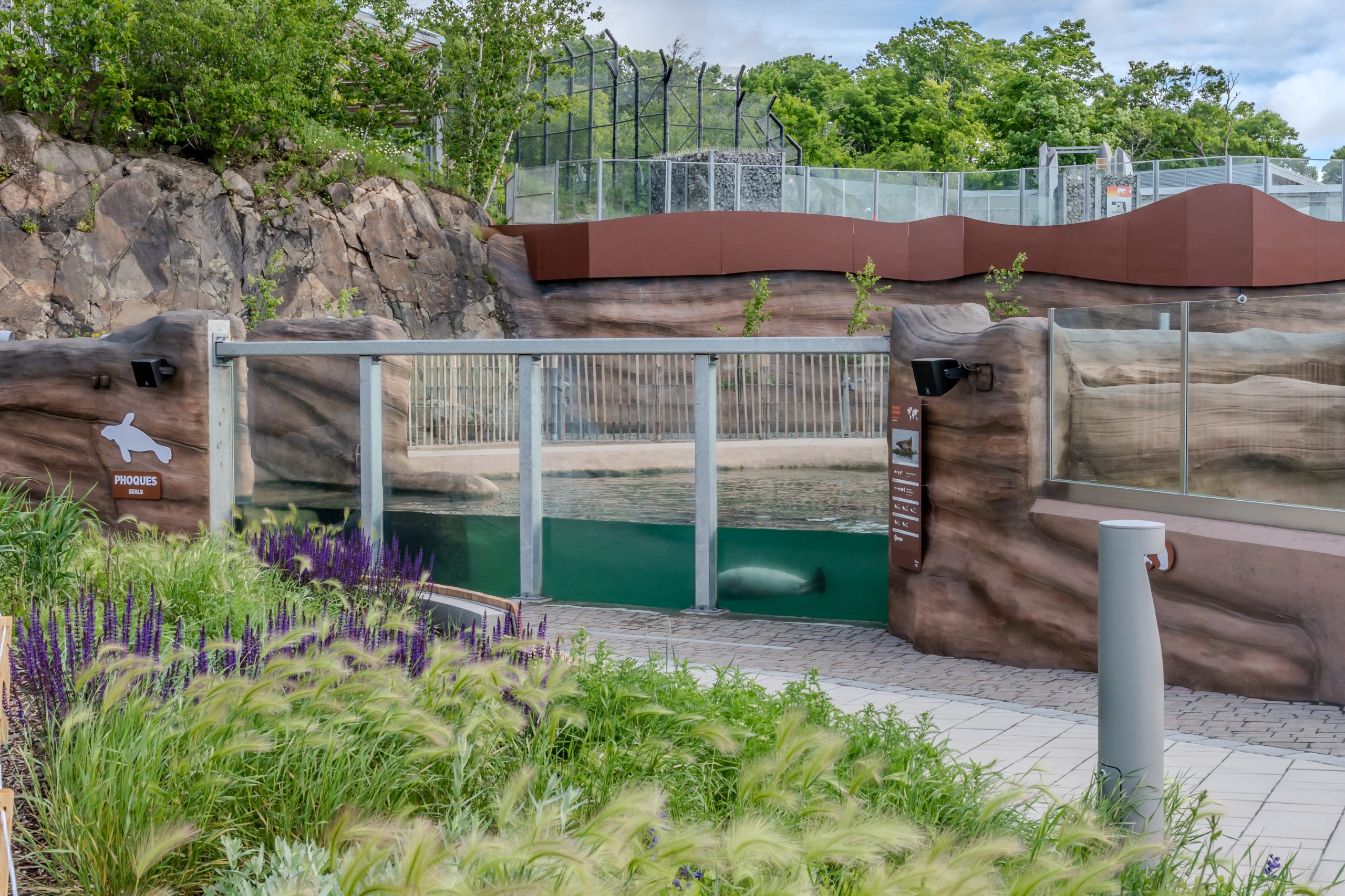 Construction et aménagement habitat louphoque | Aquarium du Québec Interprojet Construction | Entrepreneur général en génie civil et bâtiment au Québec